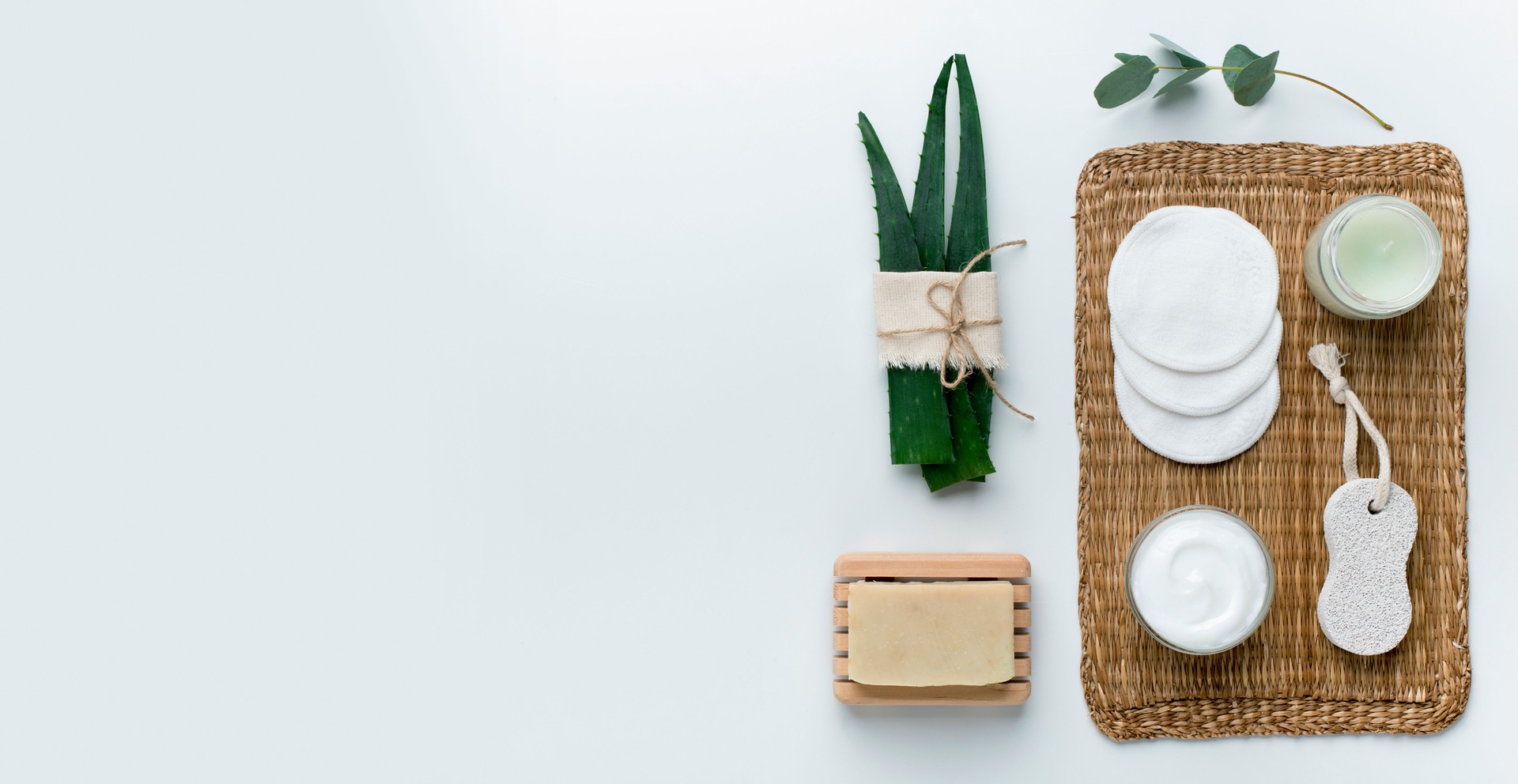 Natural aloe plant, nourishing body butter, eco bath products
